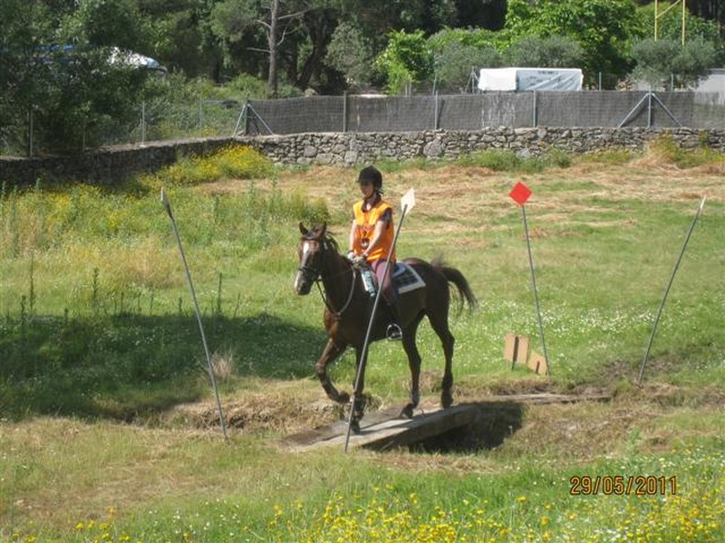 La Selección Navarra de Trec se clasifica para el Campeonato de España 2011